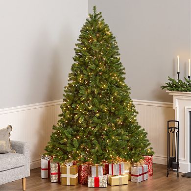 National Tree Company 7.5-ft. Pre-Lit ''Feel Real'' Downswept Douglas Fir Artificial Christmas Tree