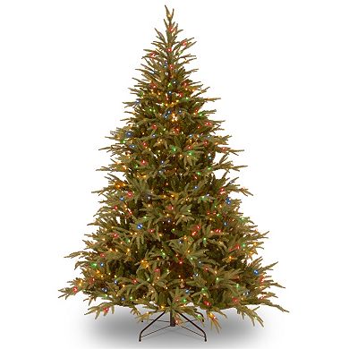 National Tree Company 6-ft. Pre-Lit Dual LED ''Feel Real'' Frasier Grande Artificial Christmas Tree