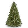 9-ft. Pre-Lit Dual LED ''Feel Real'' Jersey Frasier Fir Medium Artificial Christmas Tree 