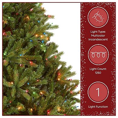 National Tree Company 7.5-ft. Pre-Lit Multicolor ''Feel Real'' Jersey Frasier Fir Artificial Christmas Tree