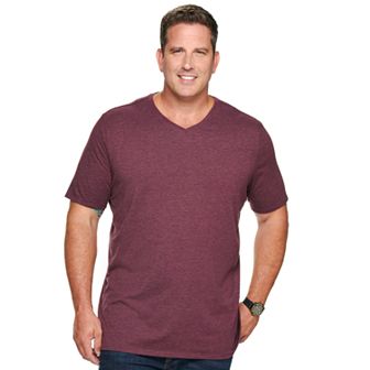 Big & Tall Apt. 9® Core Solid V-Neck Tee