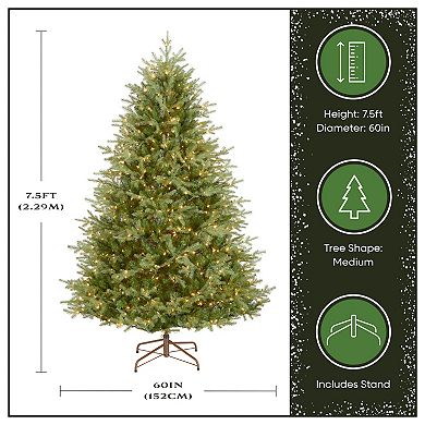 National Tree Company 7.5-ft. Pre-Lit 900-Light ''Feel-Real'' Nordic Spruce Artificial Christmas Tree