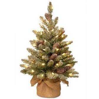 National Tree Company 2-ft. Pre-Lit LED Snowy Concolor Fir Christmas Tree in Burlap