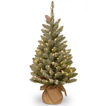 National Tree Company 3-ft. Pre-Lit LED Snowy Concolor Fir Christmas Tree in Burlap
