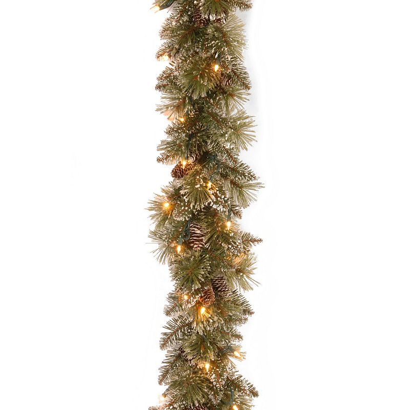 National Tree 6 ft Glittery Bristle Pine Garland with Battery Operated Warm White LED Lights