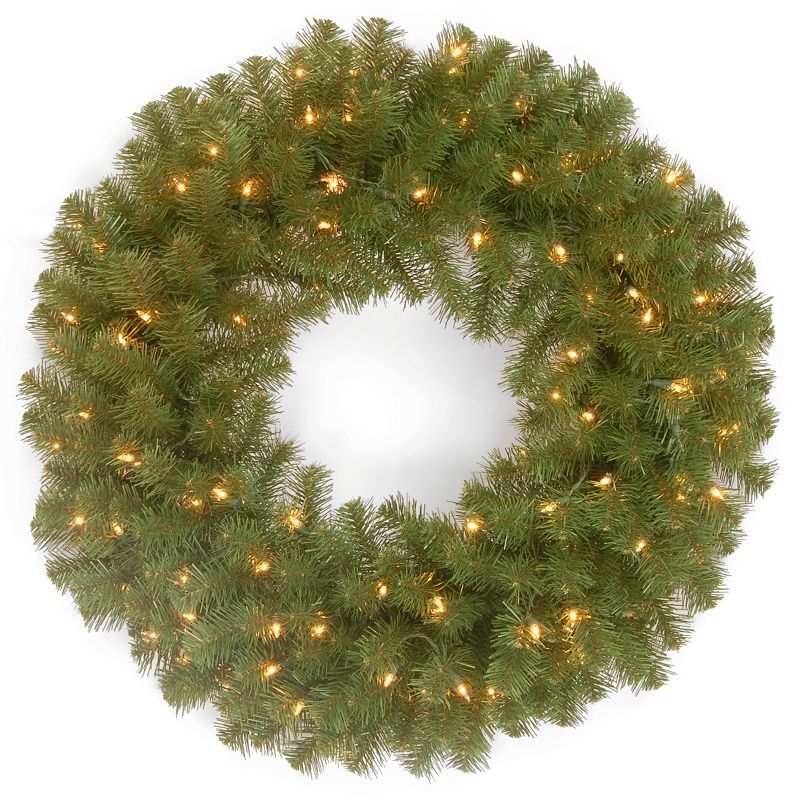 National Tree 24-Inch North Valley Spruce Wreath with 50 Battery Operated Dual LED Lights