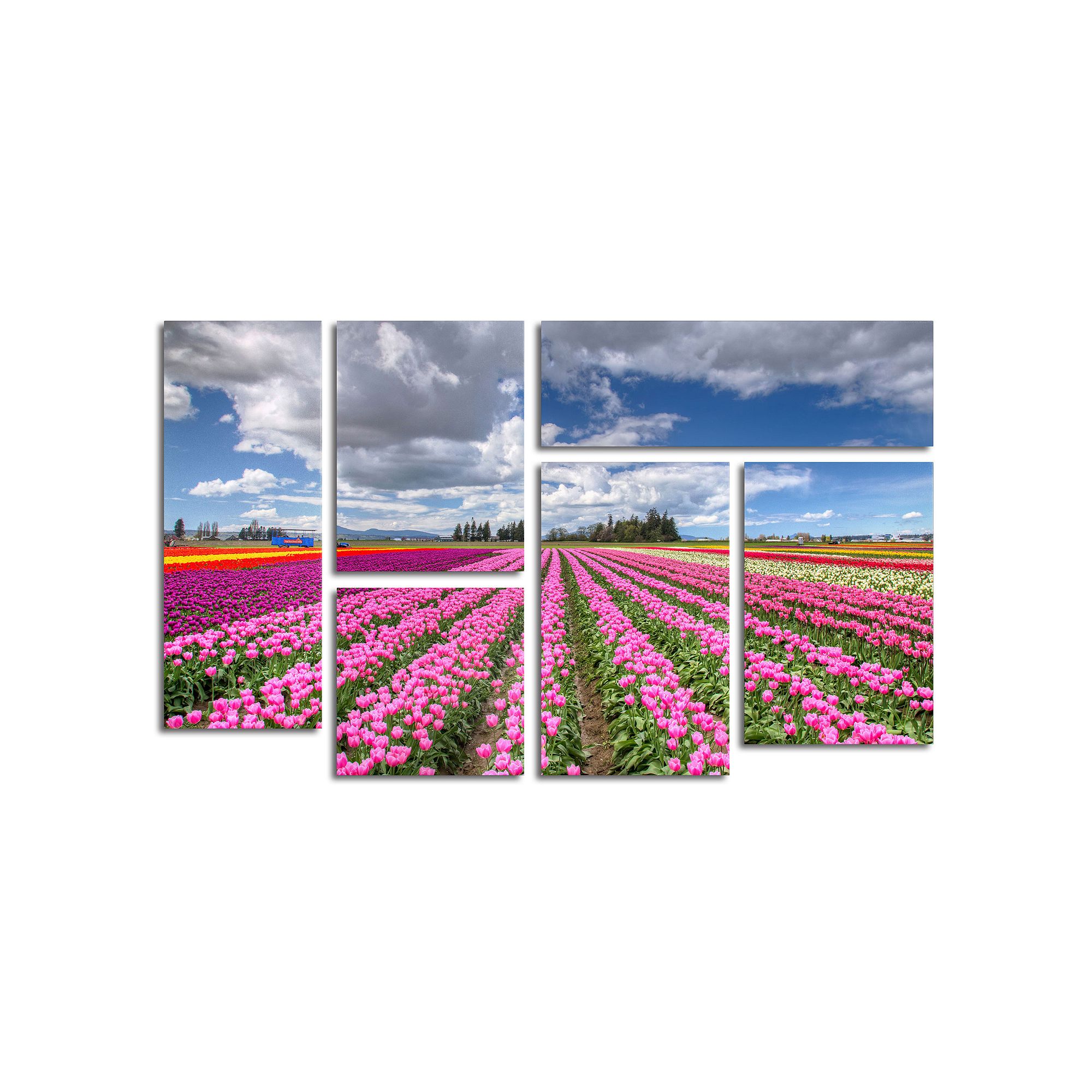Trademark Fine Art Tulip Field 6-pc. Wall Art Set, Pink
