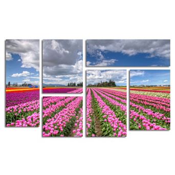 Trademark Fine Art ''Tulip Field'' 6 pc Wall Art Set
