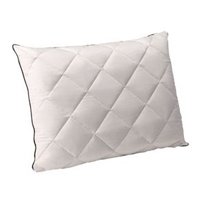 Dream Therapy Memory Foam & Quilted Down Pillow