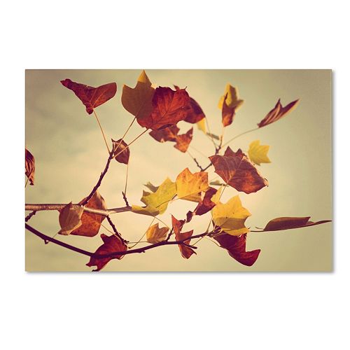 Trademark Fine Art ''Still Fall'' Canvas Wall Art by Philippe Sainte-Laudy
