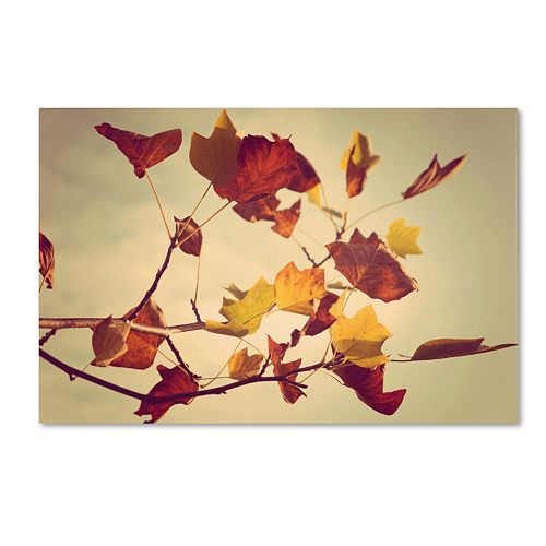 Trademark Fine Art ''Still Fall'' Canvas Wall Art by Philippe Sainte-Laudy