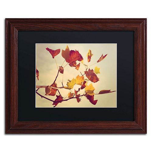 Trademark Fine Art ''Still Fall'' Matted Wooden Wall Framed Art by Philippe Sainte-Laudy