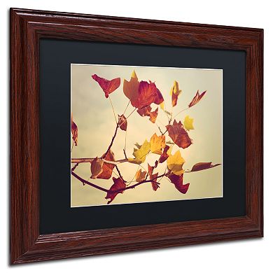 Trademark Fine Art ''Still Fall'' Matted Wooden Wall Framed Art by Philippe Sainte-Laudy