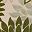 Ivory Green