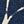 Ivory Navy