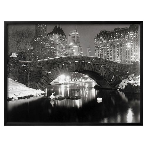 Art.com ''New York Pond in Winter'' Framed Wall Art
