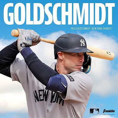 Franklin Sports Digitek Series Batting Glove - Adult