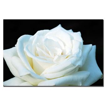 ''White Rose II'' Canvas Wall Art