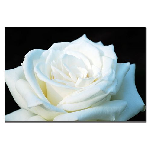 White Rose Ii Canvas Wall Art