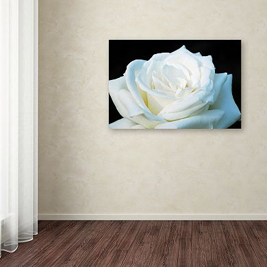 ''White Rose II'' Canvas Wall Art