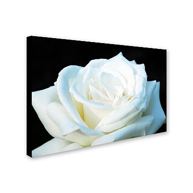 ''White Rose II'' Canvas Wall Art