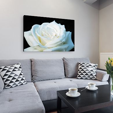 ''White Rose II'' Canvas Wall Art