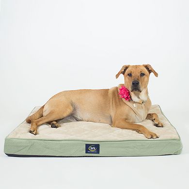 Serta Ortho Foam Quilted Pillowtop Pet Bed