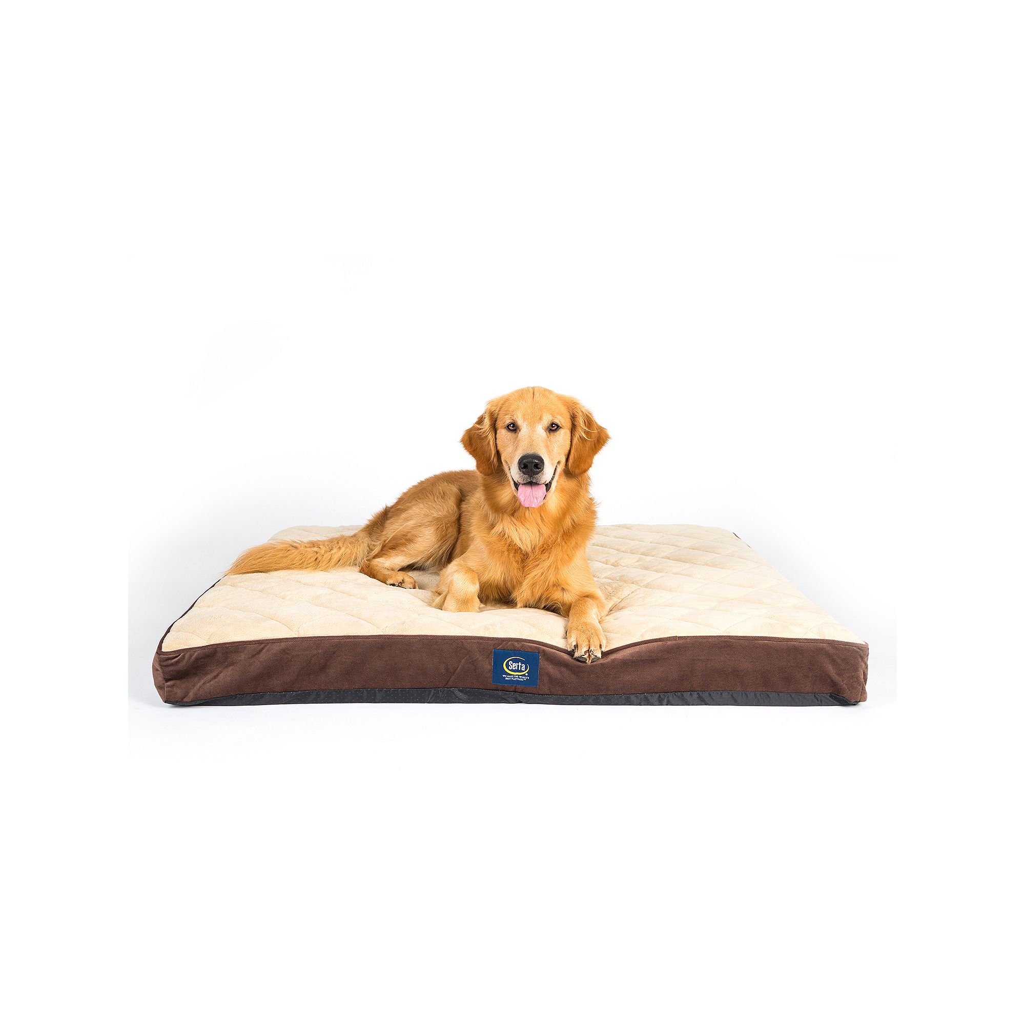 Serta® Ortho Foam Quilted Pillowtop Pet Bed, Brown