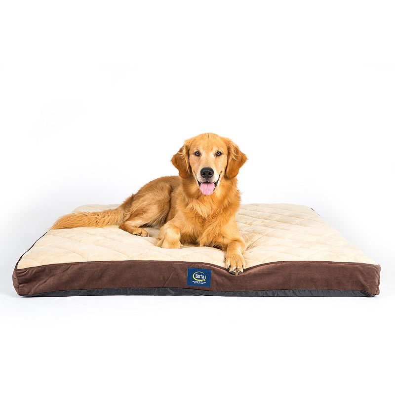 UPC 842699000912 product image for Serta® Ortho Foam Quilted Pillowtop Pet Bed, Brown, XL | upcitemdb.com