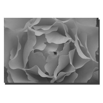 ''Hypnotic Rose'' Canvas Wall Art