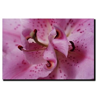 ''Lily Abstract'' Canvas Wall Art