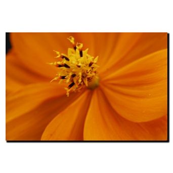''Orange Flower'' Canvas Wall Art