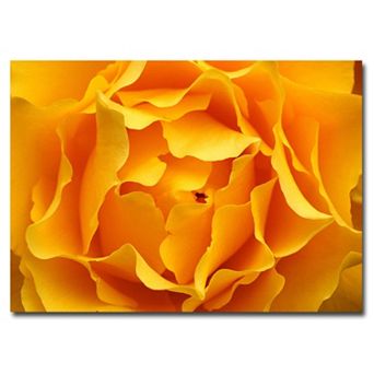 ''Hypnotic Yellow Rose'' Canvas Wall Art