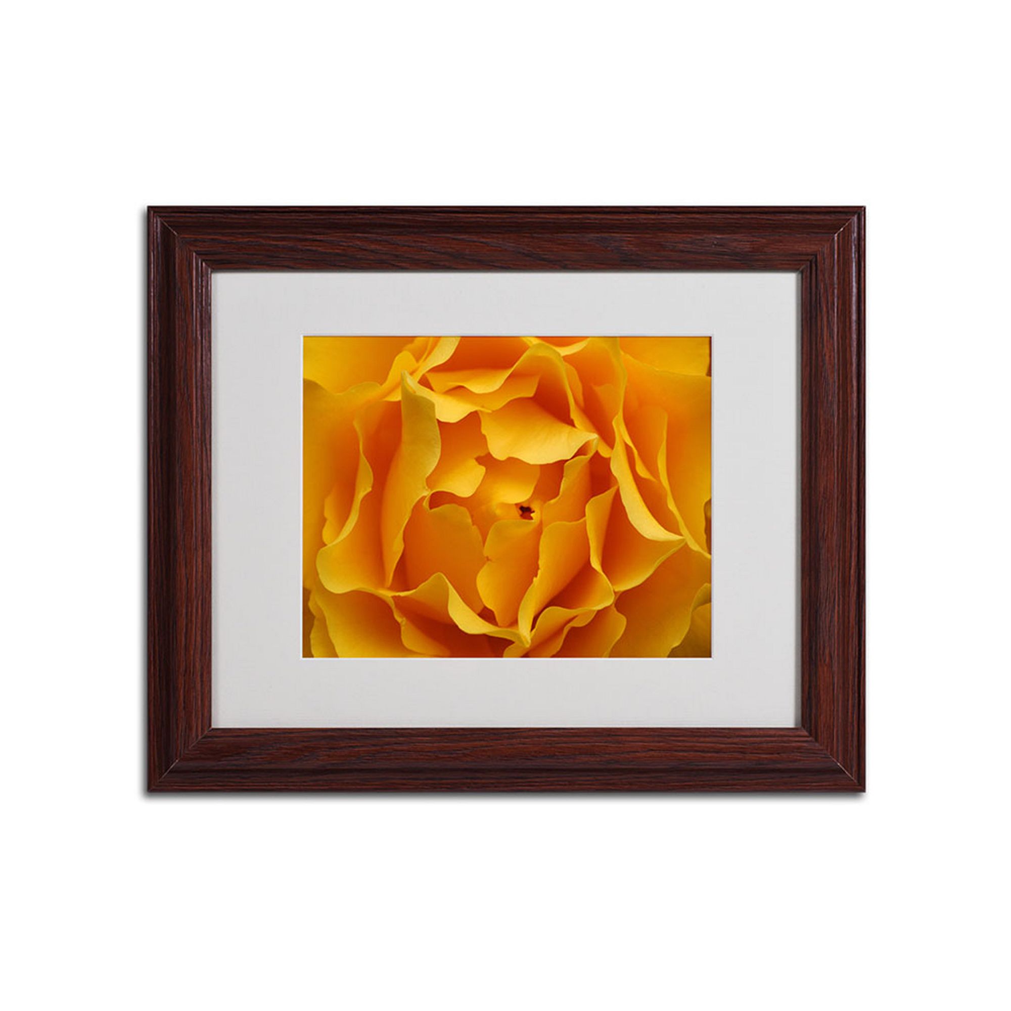 Hypnotic Yellow Rose Brown Framed Wall Art