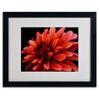 ''Red Dahlia'' Framed Wall Art