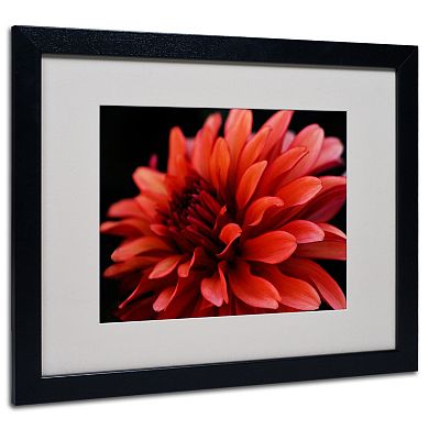 ''Red Dahlia'' Framed Wall Art