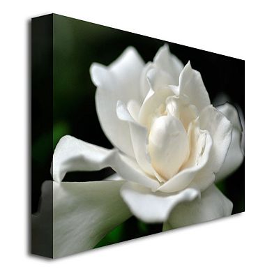 ''Lovely Gardenia'' Canvas Wall Art