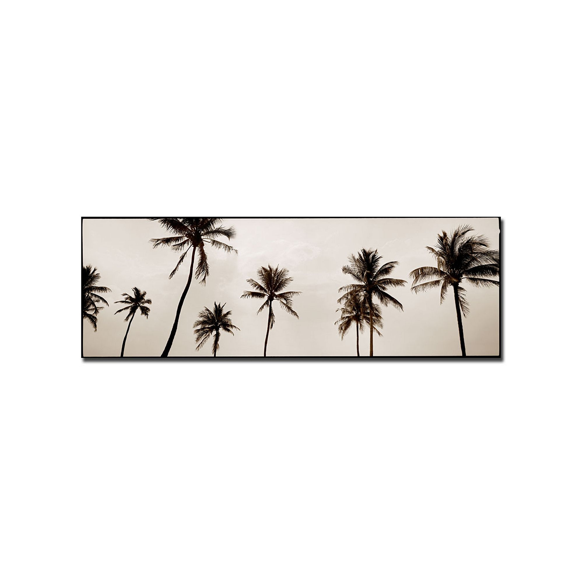 Black & White Palms Canvas Wall Art, Gray