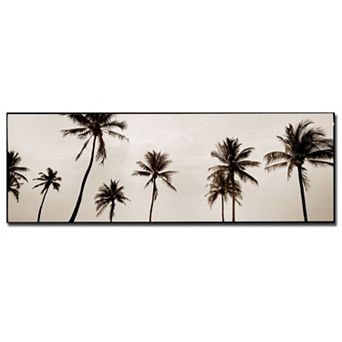''Black & White Palms'' Canvas Wall Art