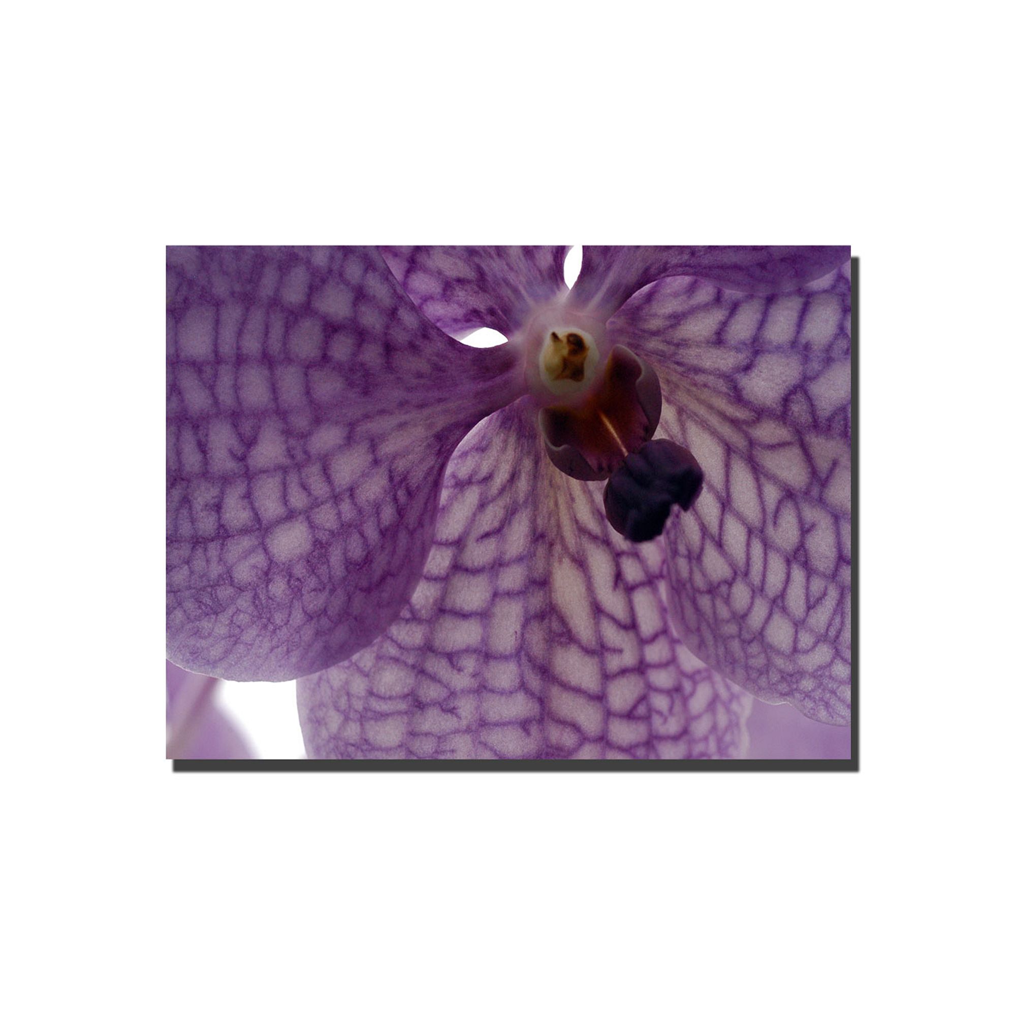 Orchid Veins Canvas Wall Art, Purple