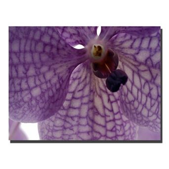 ''Orchid Veins'' Canvas Wall Art
