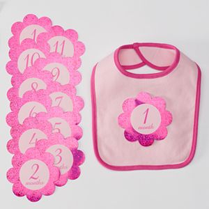Baby Girl Lovespun Picture Perfect Bib & Sticker Set