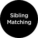 Sibling Matching