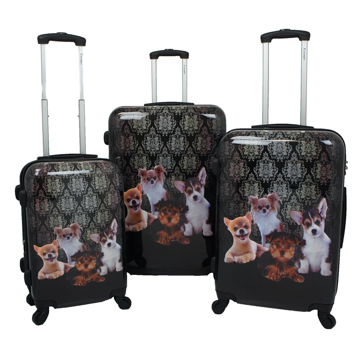 chariot trunk style luggage