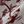 Red Toile