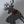 Winter Reindeer