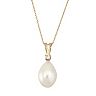 14k Gold Freshwater Cultured Pearl & Diamond Accent Pendant Necklace