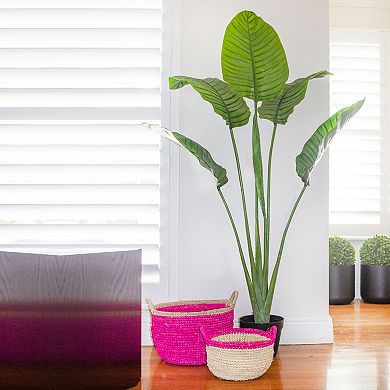 nearly natural UV Resistant Artificial Travellers Palm Tree