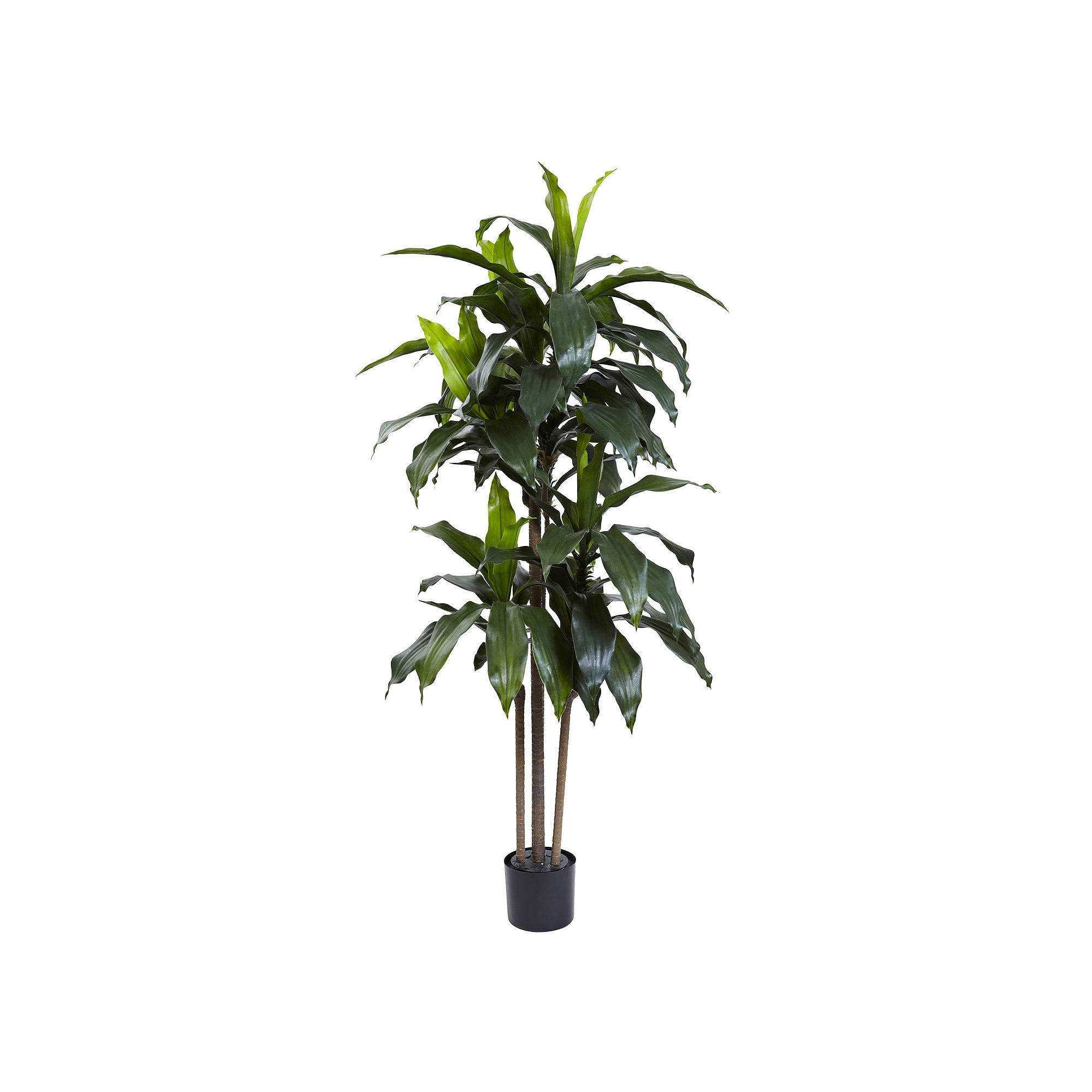 nearly natural 5-Foot UV Resistant Artificial Dracaena Plant, Green