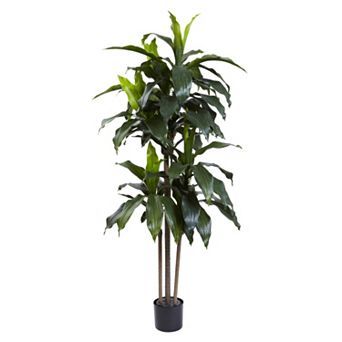 nearly natural 5-Foot UV Resistant Artificial Dracaena Plant